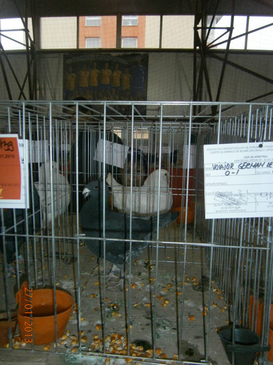 93 - puncte - EXPO LIPOVA - 2013