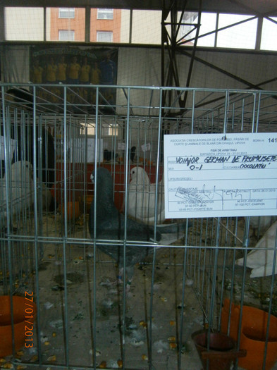 94 - puncte - EXPO LIPOVA - 2013