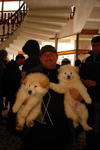 expo_acpara_duminica_2013_ (11) - Expo 2013 Arges Sambata