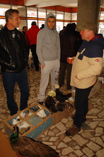 expo_acpara_duminica_2013_ (14) - Expo 2013 Arges Sambata