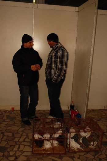 expo_acpara_duminica_2013_ (18) - Expo 2013 Arges Sambata