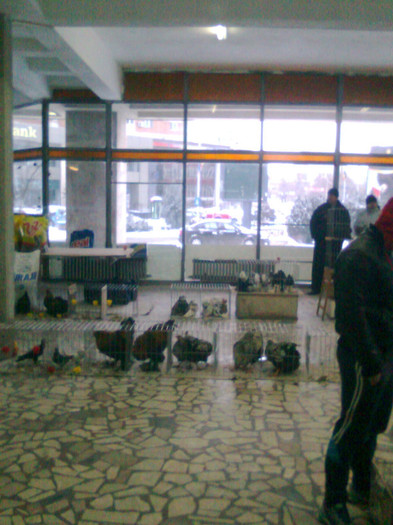 Targ - Expozitie si Targ Pitesti 27 01 2013