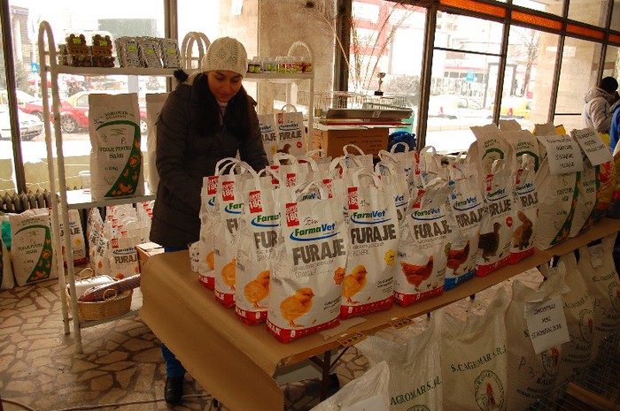 expo_acpara_duminica_2013_ (29) - Expo 2013 Arges Sambata