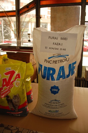 expo_acpara_duminica_2013_ (30) - Expo 2013 Arges Sambata