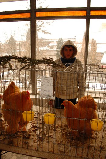 expo_acpara_duminica_2013_ (42) - Expo 2013 Arges Sambata