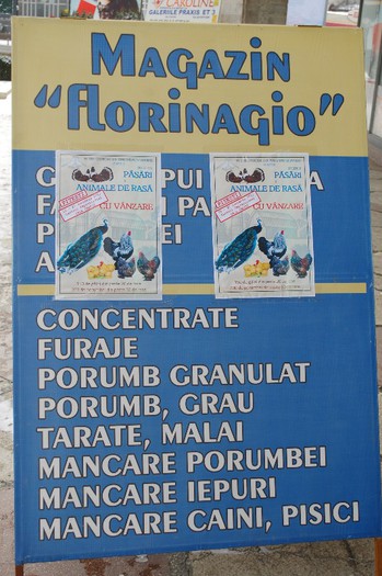 expo_acpara_duminica_2013_ (252) - Expo 2013 Arges duminica