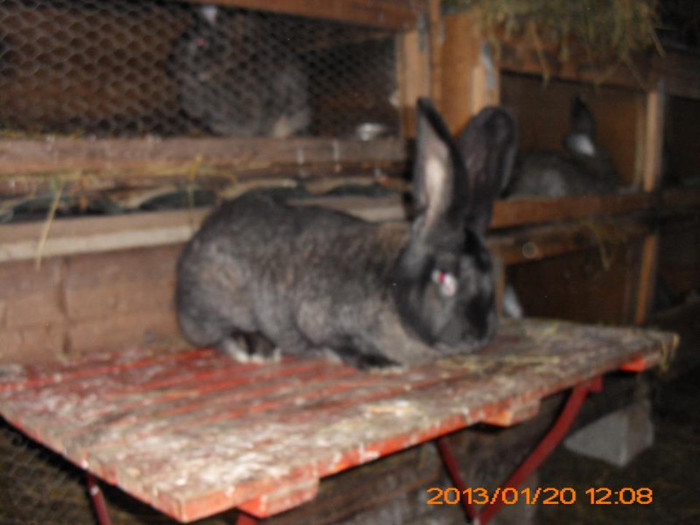 702621_534713393229557_539106266_n - Copy - Copy