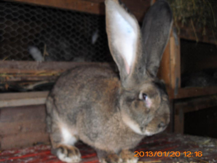 711090_534713596562870_1486789926_n - Copy - Copy