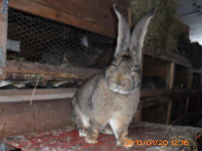 711562_534713549896208_1502234994_n - Copy - Copy