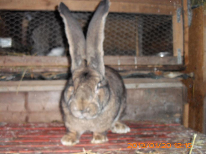 730554_534713609896202_64384163_n - Copy