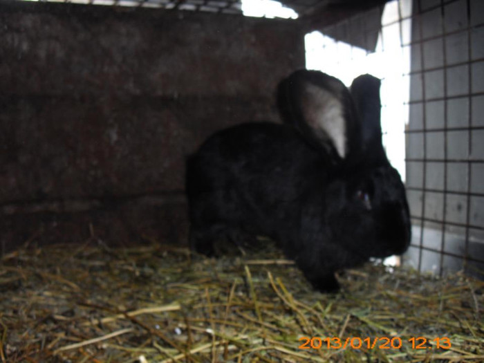 565612_534713533229543_228984463_n - Copy - Copy