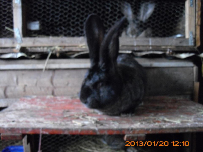 710853_534713419896221_1043409131_n - Copy