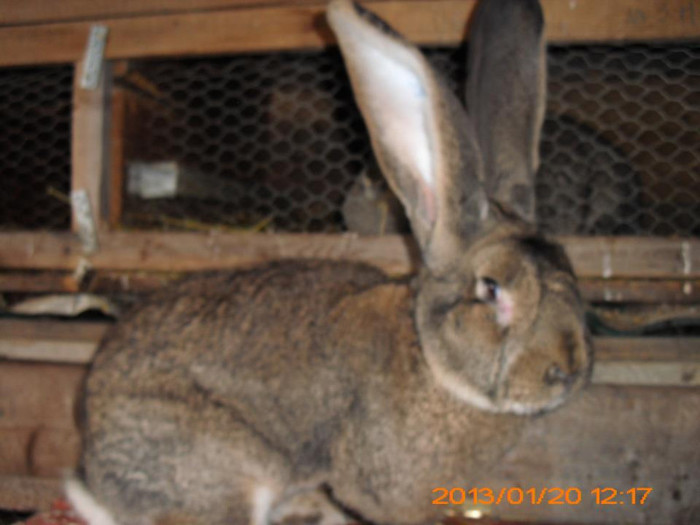 566388_534713489896214_847330625_n - Copy - Copy