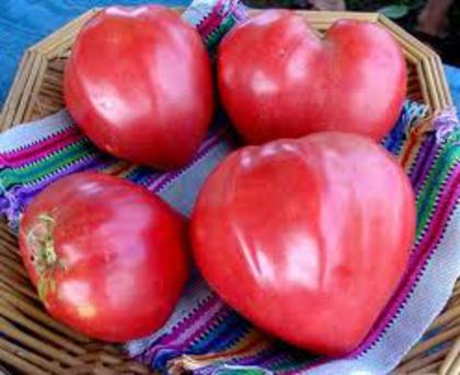 tomate inima de bou,