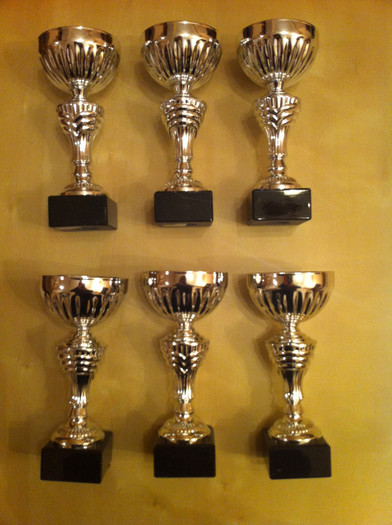 IMG_0948 - Rezultate expo 2013 - PITESTI