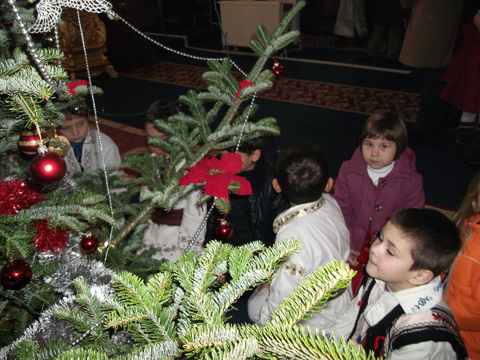 DSCF8298 - Copie