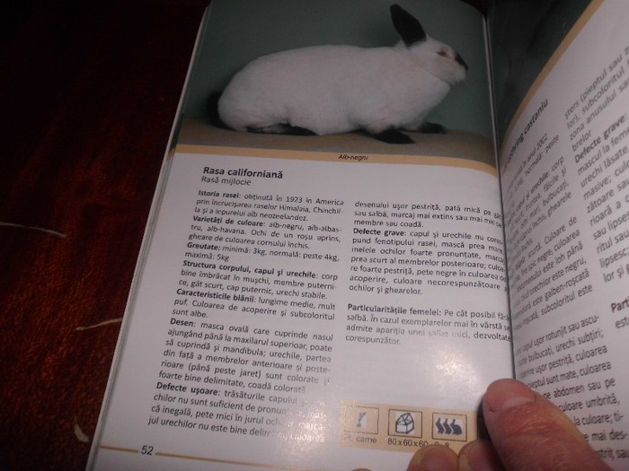informatii  - iepuri