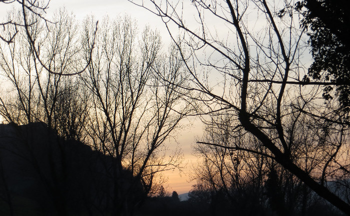 IMG_0062 - IANUARIE-TODI