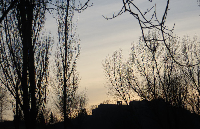 IMG_0063 - IANUARIE-TODI