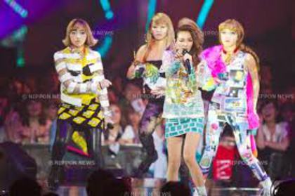 images (12)