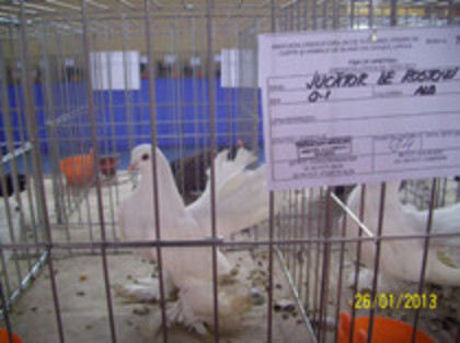 rostow - expo LIPOVA 2013