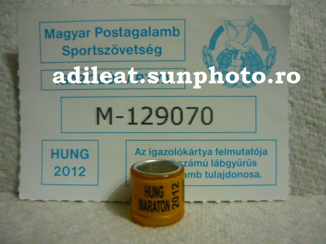 UNGARIA-2012-MARATON - UNGARIA-ring collection