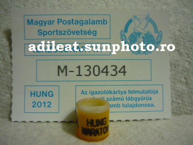 UNGARIA-2012-MARATON-CIP - UNGARIA-ring collection