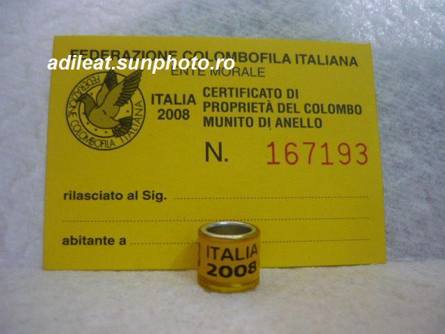 ITALIA-2008 - ITALIA-ring collection