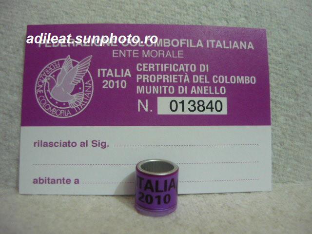 ITALIA-2010 - ITALIA-ring collection