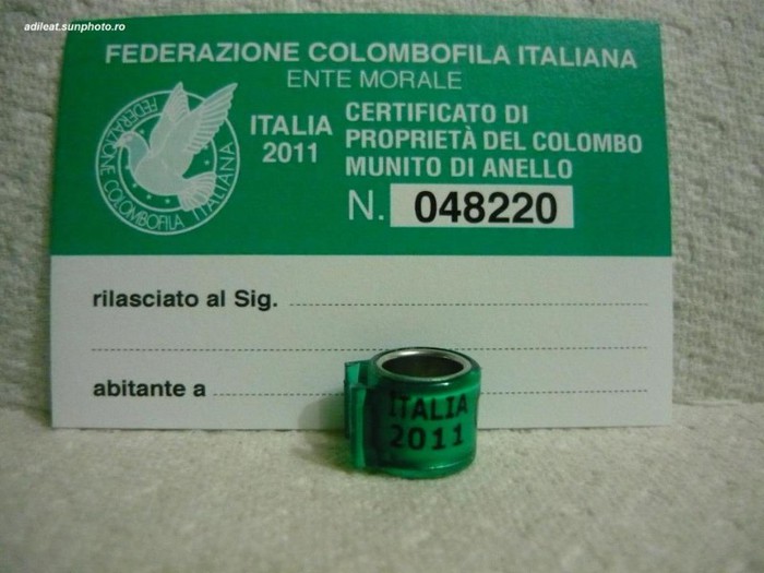 ITALIA-2011 - ITALIA-ring collection