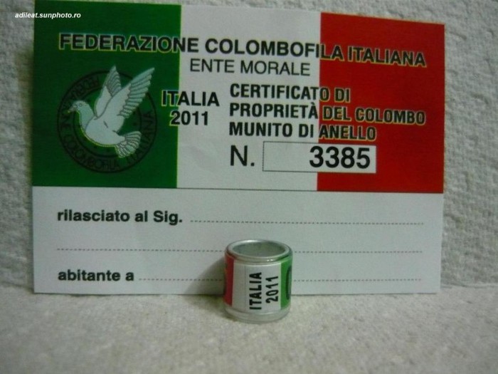 ITALIA-2011-OLIMPIA - ITALIA-ring collection