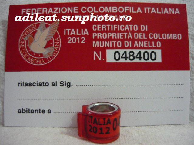 ITALIA-2012 - ITALIA-ring collection