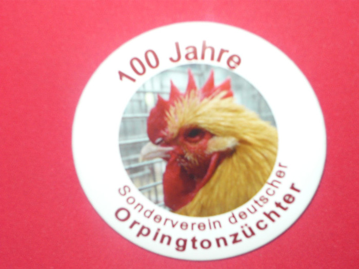 P1030256 - ORPINGTON
