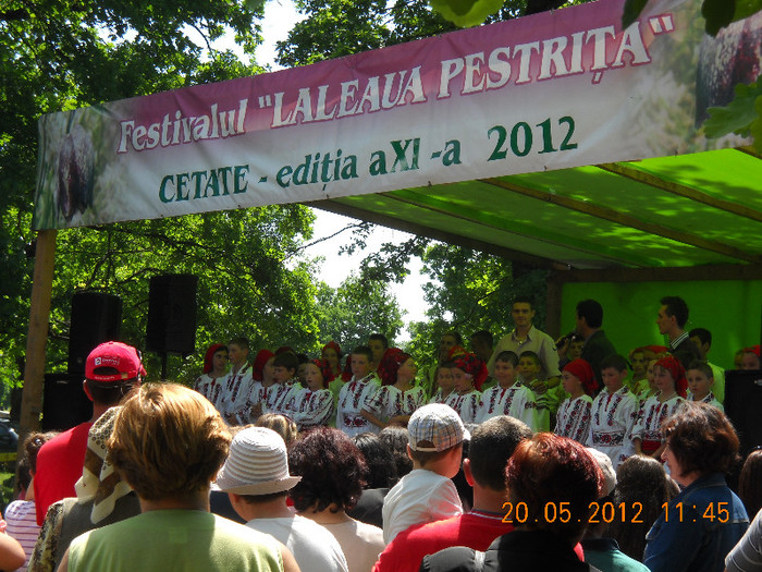 DSCN0159 - LALEAUA PESTRITA 2011