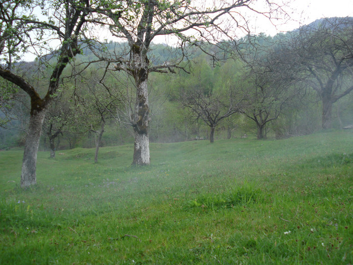 DSC08726