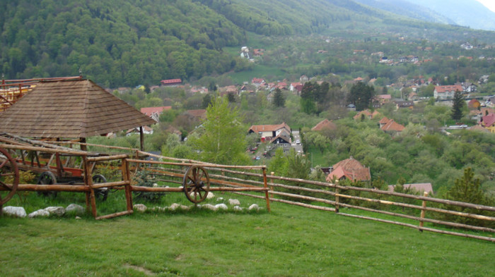 DSC01419