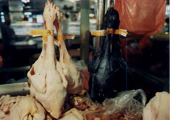 carcasa neagra Cemani