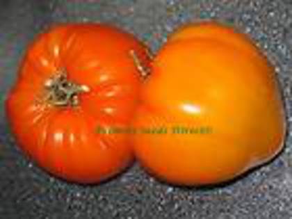 GERMAN ORANGE STRAWBERRY- TOMATO - 2013-TOMATE-SEMINTE