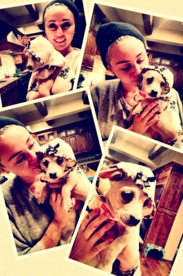 normal_20130127_BBqcZ1ICIAAvb9s