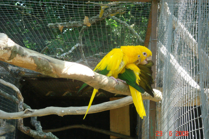 DSC02645 - Zoo particulara in Franta