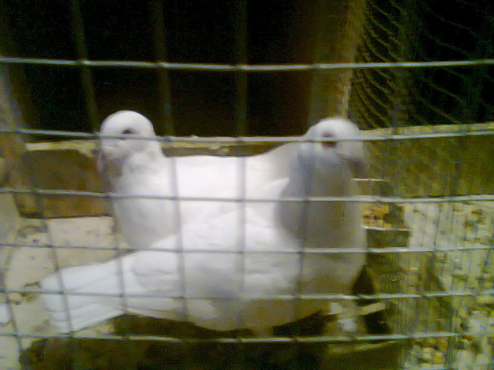 Foto0087