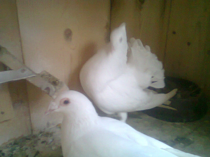 Foto0088
