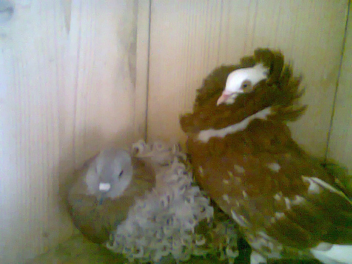 Foto0092
