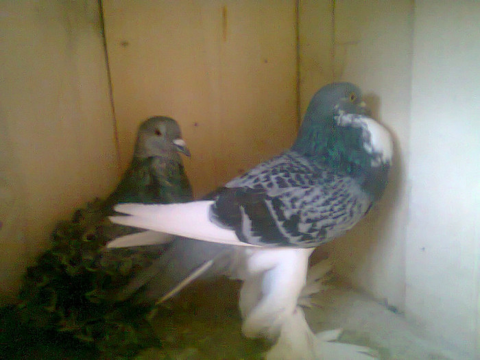 Foto0094