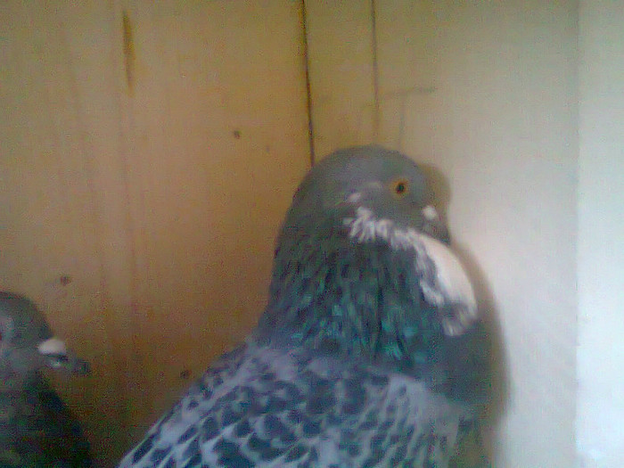 Foto0095