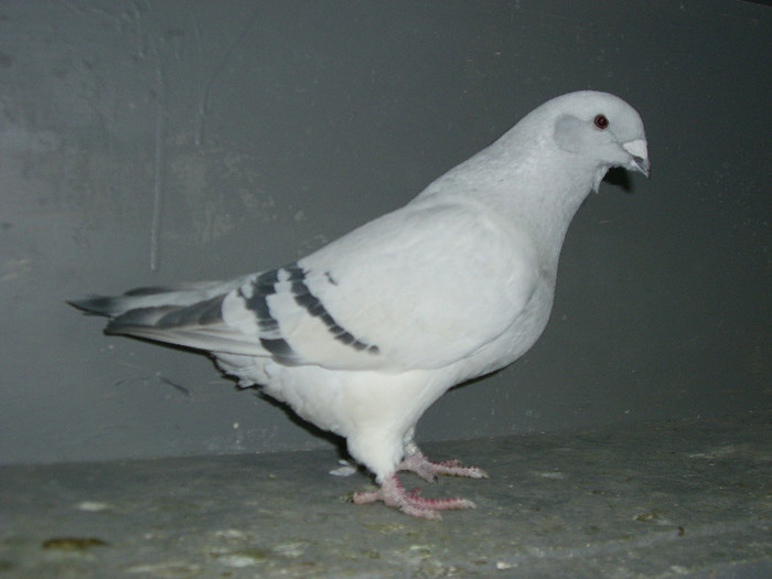 Karina la 5 luni(2006)