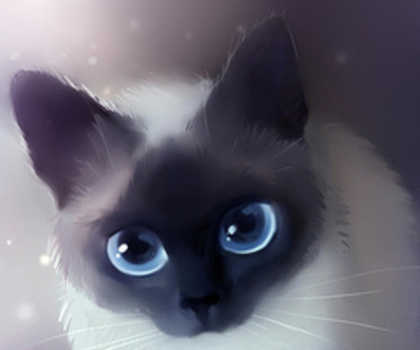 406696_3540867_b_thumb