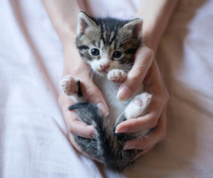 tumblr_mhcyk59nso1s4sxyko1_400_thumb