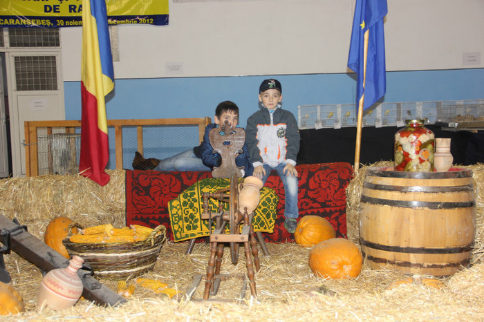 112 - 07 3EXPOZITIE CARANSEBES 2012