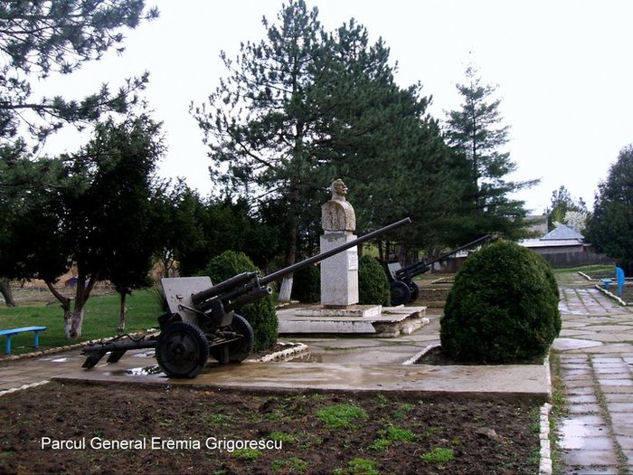 Bustul G-ralului Eremia Grigorescu , strajuit de tunuri - Orasul meu natal